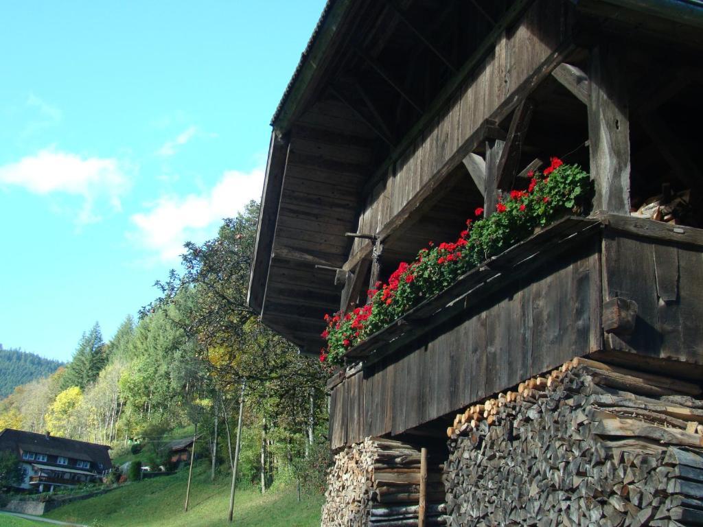 Hotel Hirsch Bad Peterstal-Griesbach Exteriér fotografie