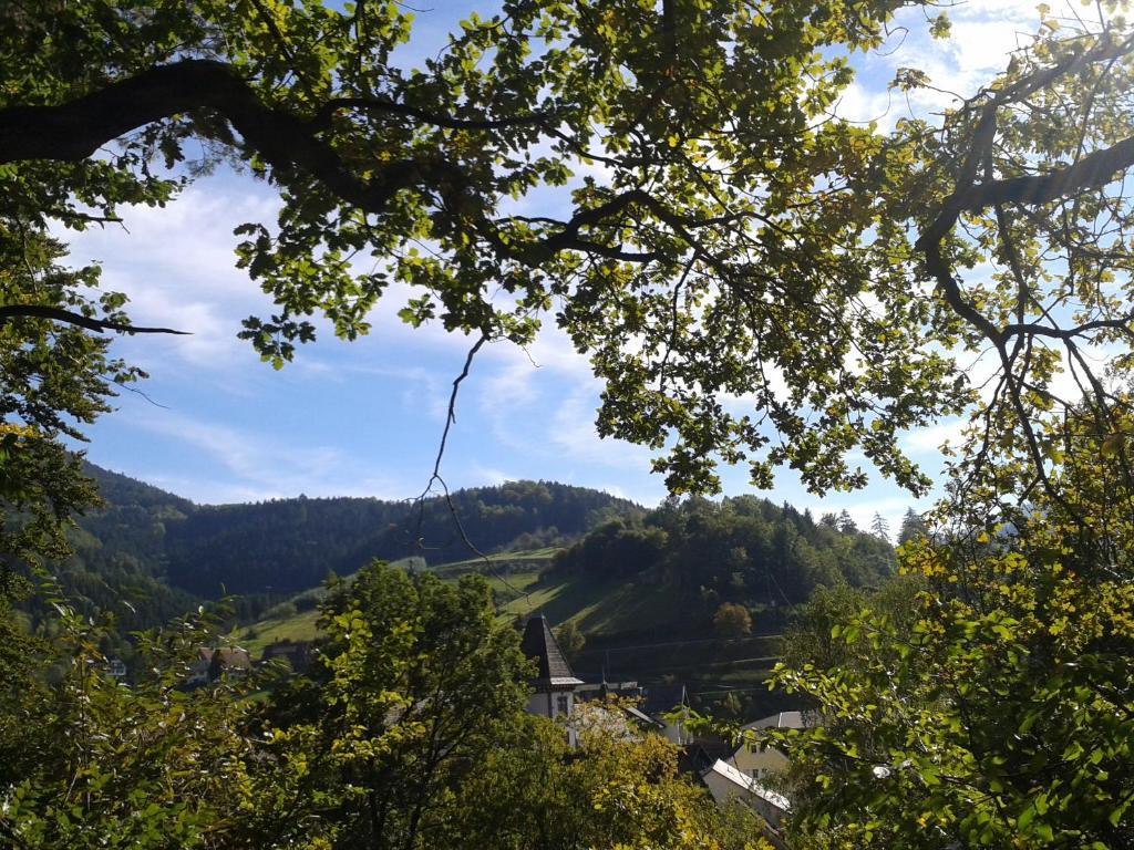 Hotel Hirsch Bad Peterstal-Griesbach Exteriér fotografie